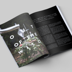 img-magspread-02
