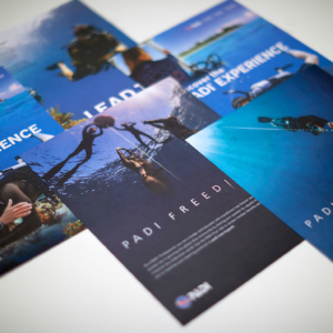 slater-printing-examples-four-color-brochures